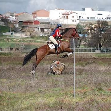 José Romera medalla de oro en el Trec** Internacional de Tordesillas